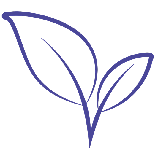 Plant expression
